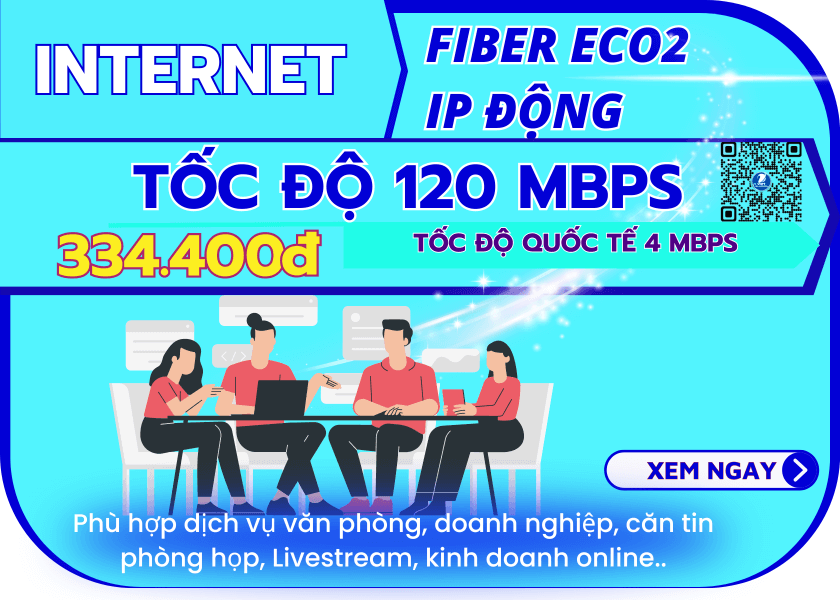 FiberEco2 - IP Động