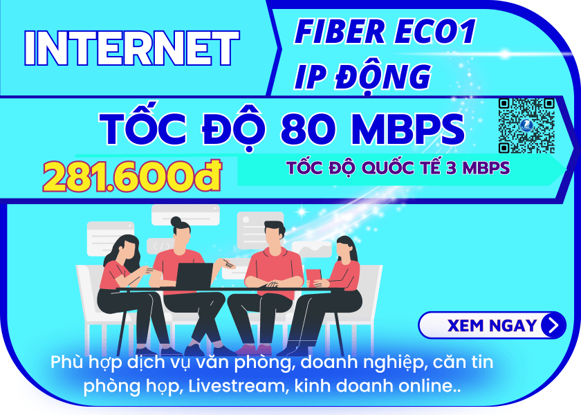 FiberEco1 - IP Động