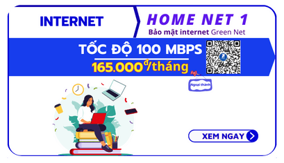 Home Net 1-100Mbps