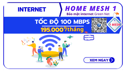 Home Mesh 1- 100Mbps